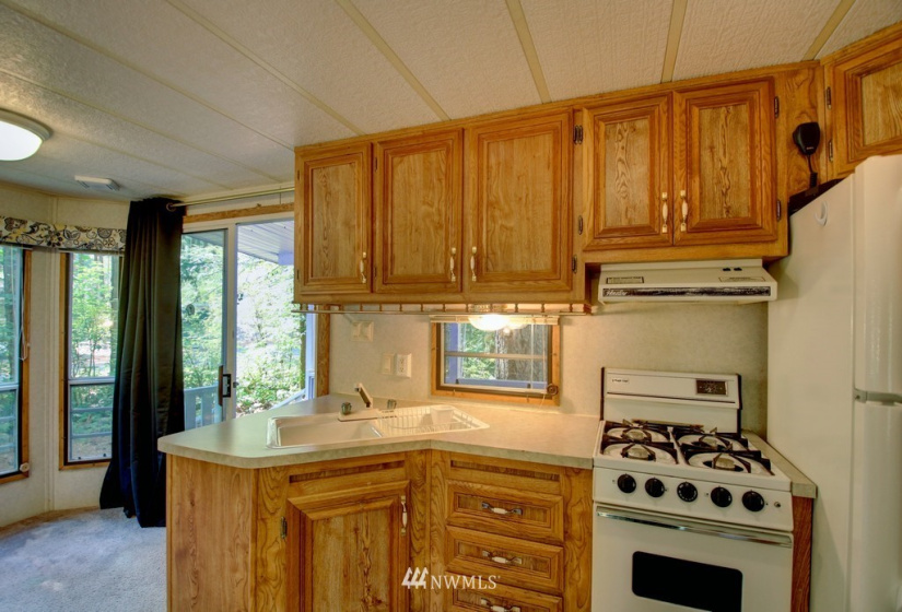 75 1 Goldrush, Deming, Washington 98244, 1 Bedroom Bedrooms, ,1 BathroomBathrooms,Residential,For Sale,Goldrush,NWM1825931