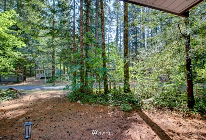 75 1 Goldrush, Deming, Washington 98244, 1 Bedroom Bedrooms, ,1 BathroomBathrooms,Residential,For Sale,Goldrush,NWM1825931