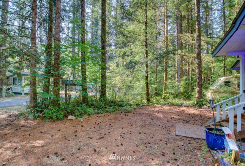 75 1 Goldrush, Deming, Washington 98244, 1 Bedroom Bedrooms, ,1 BathroomBathrooms,Residential,For Sale,Goldrush,NWM1825931