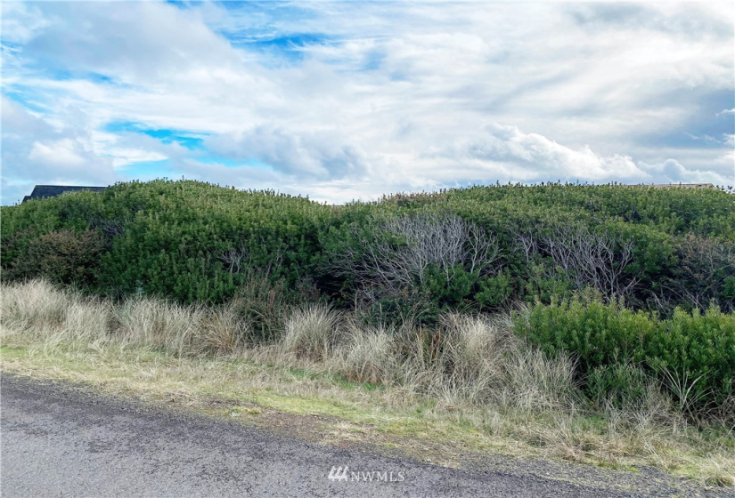 1229 Channel, Ocean Shores, Washington 98569, ,Land,For Sale,18,Channel,NWM1826240