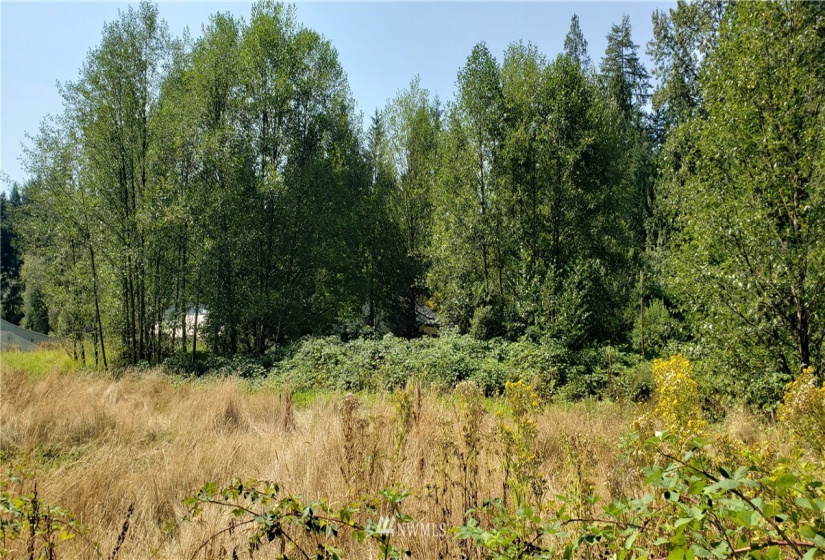 5006 200th, Bothell, Washington 98012, ,Land,For Sale,200th,NWM1824973