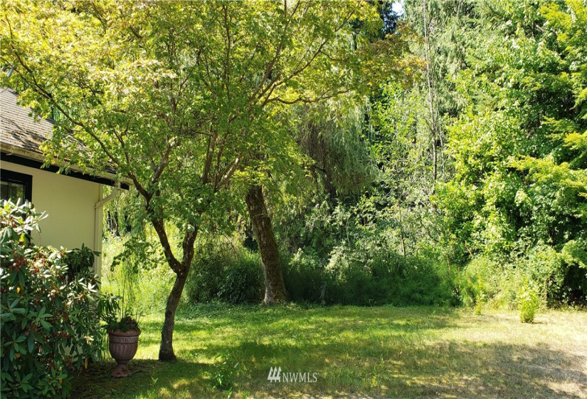 5006 200th, Bothell, Washington 98012, ,Land,For Sale,200th,NWM1824973