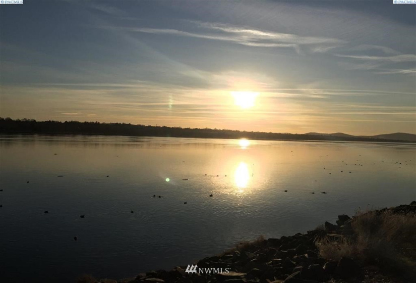 210 Rd 34, Pasco, Washington 99301, ,Land,For Sale,Rd 34,NWM1823977