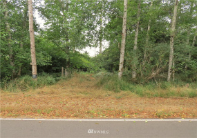 681 Duck Lake, Ocean Shores, Washington 98569, ,Land,For Sale,5,Duck Lake,NWM1824781