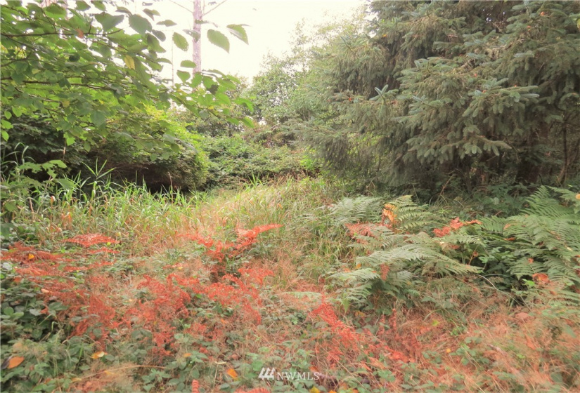 681 Duck Lake, Ocean Shores, Washington 98569, ,Land,For Sale,5,Duck Lake,NWM1824781