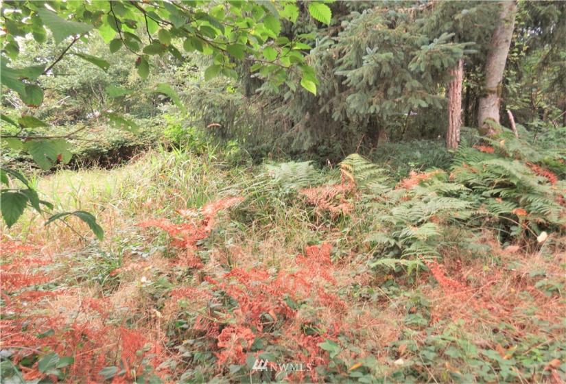 681 Duck Lake, Ocean Shores, Washington 98569, ,Land,For Sale,5,Duck Lake,NWM1824781