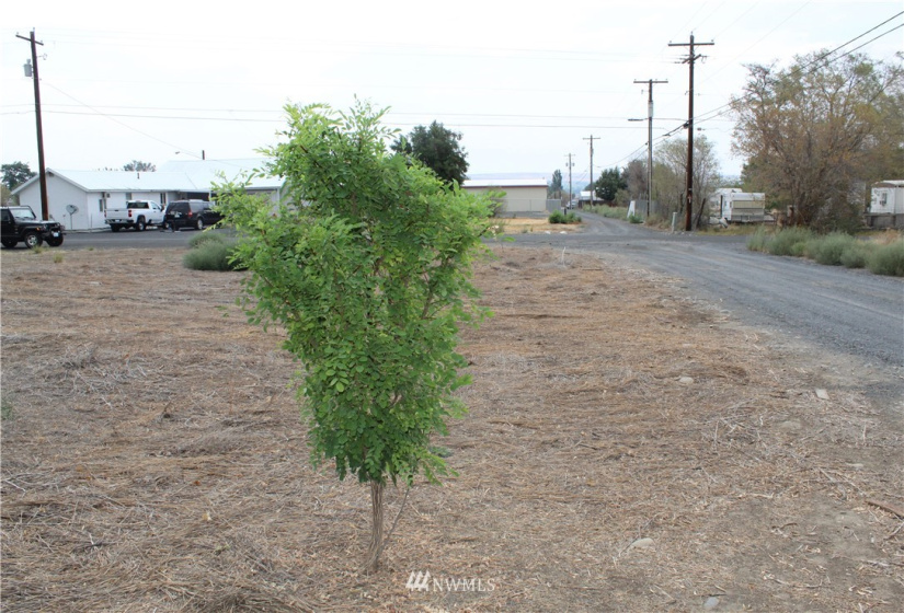 205 Hwy 28, Soap Lake, Washington 98851, ,Land,For Sale,Lakeview Park,Hwy 28,NWM1825491