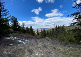 0 NNA Lot 13, Tyee View Loop, Orondo, Washington 98843, ,Land,For Sale,Lot 13, Tyee View Loop,NWM1826340