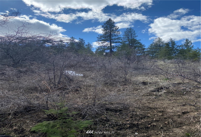 0 NNA Lot 13, Tyee View Loop, Orondo, Washington 98843, ,Land,For Sale,Lot 13, Tyee View Loop,NWM1826340