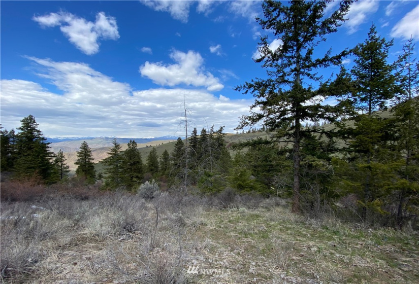 0 NNA Lot 13, Tyee View Loop, Orondo, Washington 98843, ,Land,For Sale,Lot 13, Tyee View Loop,NWM1826340