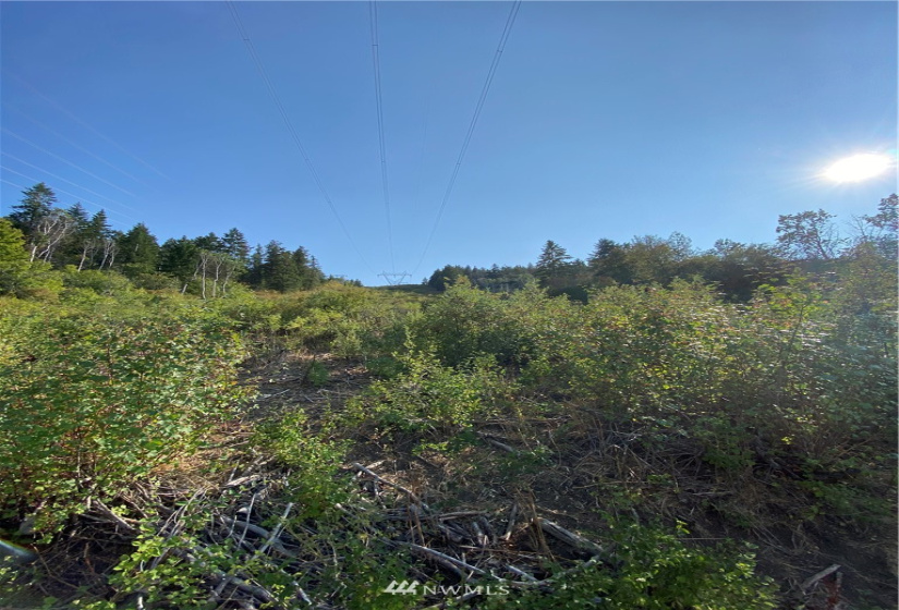 0 NNA Lot 13, Tyee View Loop, Orondo, Washington 98843, ,Land,For Sale,Lot 13, Tyee View Loop,NWM1826340