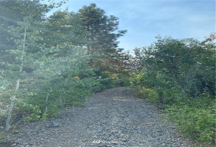 0 NNA Lot 13, Tyee View Loop, Orondo, Washington 98843, ,Land,For Sale,Lot 13, Tyee View Loop,NWM1826340