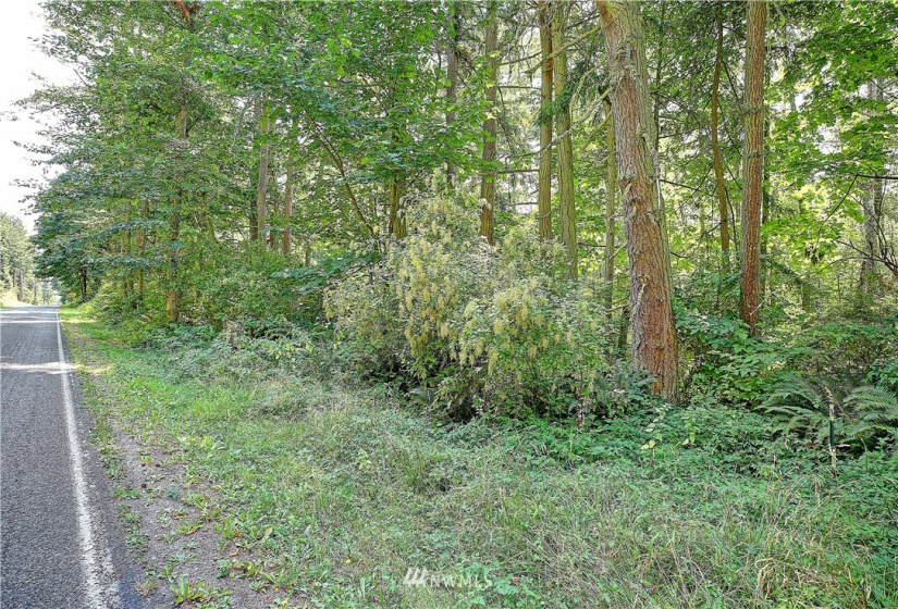 39 XX Camano, Camano Island, Washington 98282, ,Land,For Sale,Camano,NWM1825446