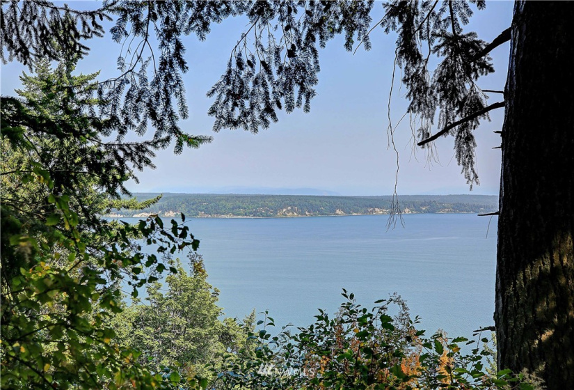 39 XX Camano, Camano Island, Washington 98282, ,Land,For Sale,Camano,NWM1825446
