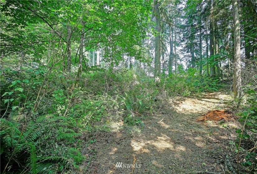 39 XX Camano, Camano Island, Washington 98282, ,Land,For Sale,Camano,NWM1825446