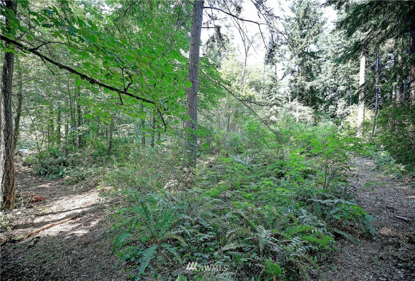 39 XX Camano, Camano Island, Washington 98282, ,Land,For Sale,Camano,NWM1825446