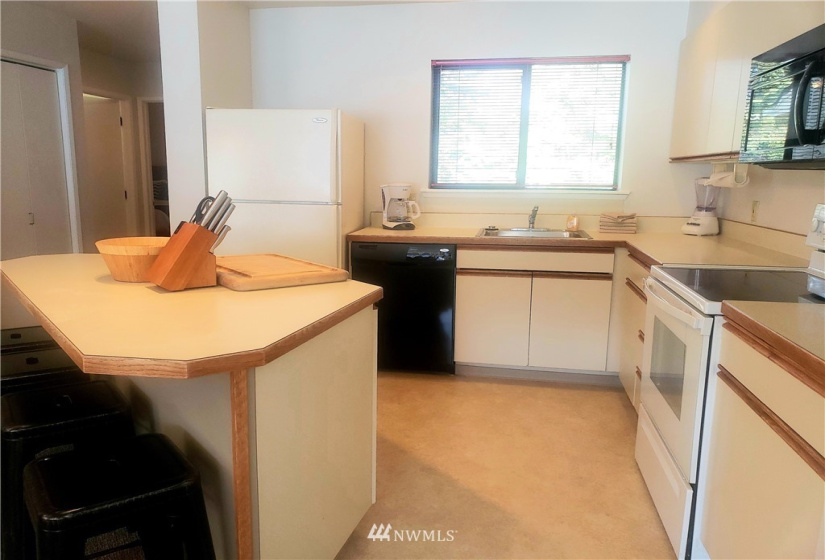 1 Nekquelekin 456-F, Manson, Washington 98831, 2 Bedrooms Bedrooms, ,2 BathroomsBathrooms,Residential,For Sale,Nekquelekin,Nekquelekin 456-F,NWM1826139