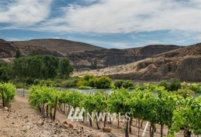 14694 State Route 821, Ellensburg, Washington 98926, 2 Bedrooms Bedrooms, ,1 BathroomBathrooms,Residential,For Sale,Canyon River Ranch,State Route 821,NWM1826746