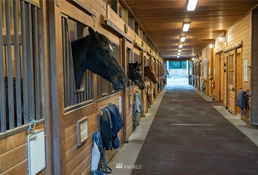 10821 Wacky Nut, Bainbridge Island, Washington 98110, 6 Bedrooms Bedrooms, ,4 BathroomsBathrooms,Residential,For Sale,Wacky Nut,NWM1822861