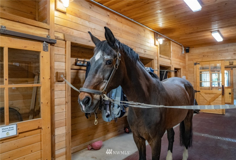 10821 Wacky Nut, Bainbridge Island, Washington 98110, 6 Bedrooms Bedrooms, ,4 BathroomsBathrooms,Residential,For Sale,Wacky Nut,NWM1822861