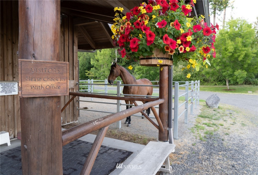 10821 Wacky Nut, Bainbridge Island, Washington 98110, 6 Bedrooms Bedrooms, ,4 BathroomsBathrooms,Residential,For Sale,Wacky Nut,NWM1822861