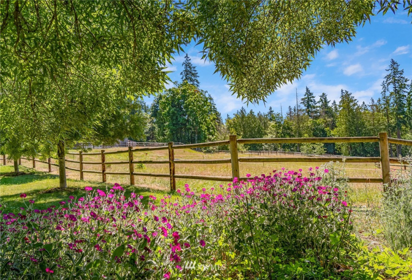 10821 Wacky Nut, Bainbridge Island, Washington 98110, 6 Bedrooms Bedrooms, ,4 BathroomsBathrooms,Residential,For Sale,Wacky Nut,NWM1822861