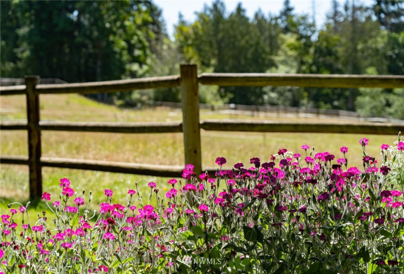 10821 Wacky Nut, Bainbridge Island, Washington 98110, 6 Bedrooms Bedrooms, ,4 BathroomsBathrooms,Residential,For Sale,Wacky Nut,NWM1822861