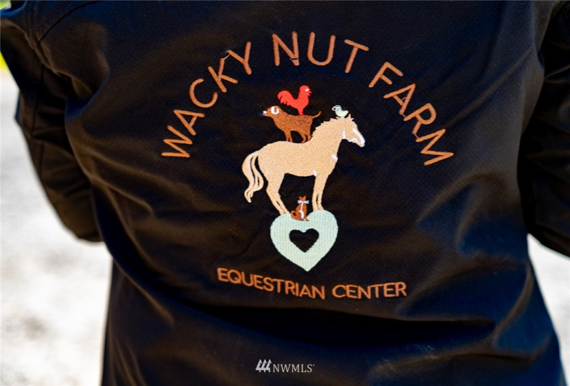 10821 Wacky Nut, Bainbridge Island, Washington 98110, 6 Bedrooms Bedrooms, ,4 BathroomsBathrooms,Residential,For Sale,Wacky Nut,NWM1822861