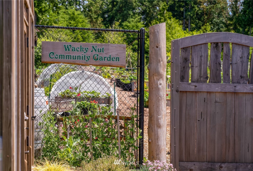 10821 Wacky Nut, Bainbridge Island, Washington 98110, 6 Bedrooms Bedrooms, ,4 BathroomsBathrooms,Residential,For Sale,Wacky Nut,NWM1822861