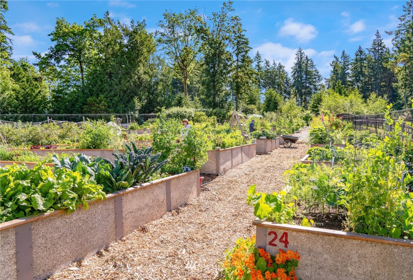 10821 Wacky Nut, Bainbridge Island, Washington 98110, 6 Bedrooms Bedrooms, ,4 BathroomsBathrooms,Residential,For Sale,Wacky Nut,NWM1822861