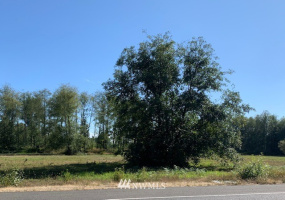 5000 Lincoln, Blaine, Washington 98230, ,Land,For Sale,Lincoln,NWM1826741
