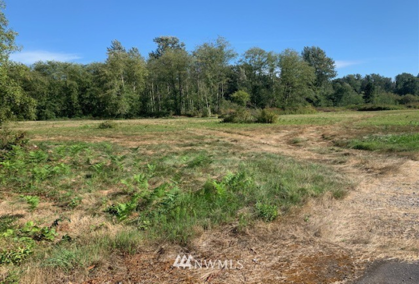 5000 Lincoln, Blaine, Washington 98230, ,Land,For Sale,Lincoln,NWM1826741