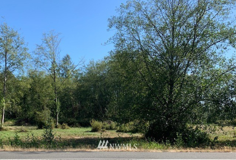 5000 Lincoln, Blaine, Washington 98230, ,Land,For Sale,Lincoln,NWM1826741