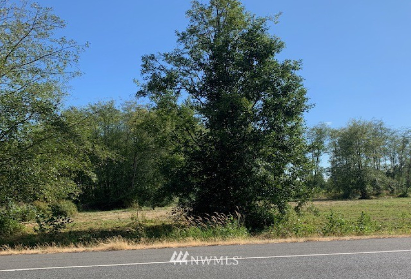 5000 Lincoln, Blaine, Washington 98230, ,Land,For Sale,Lincoln,NWM1826741