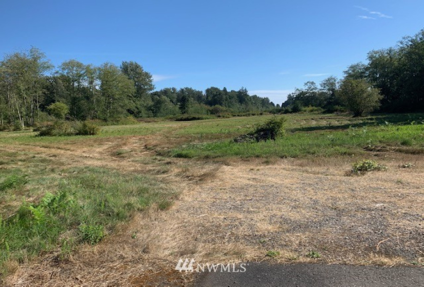 5002 Lincoln, Blaine, Washington 98230, ,Land,For Sale,Lincoln,NWM1826713