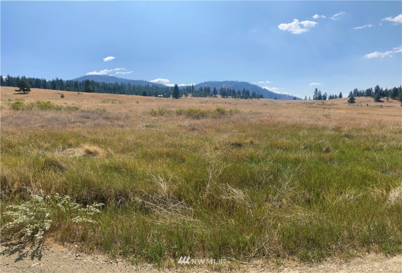 78 Chopaka, Tonasket, Washington 98855, ,Land,For Sale,Chopaka,NWM1822566