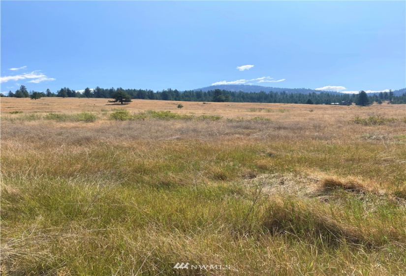 78 Chopaka, Tonasket, Washington 98855, ,Land,For Sale,Chopaka,NWM1822566