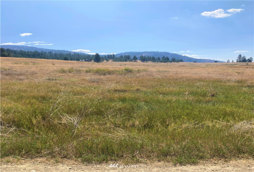 78 Chopaka, Tonasket, Washington 98855, ,Land,For Sale,Chopaka,NWM1822566