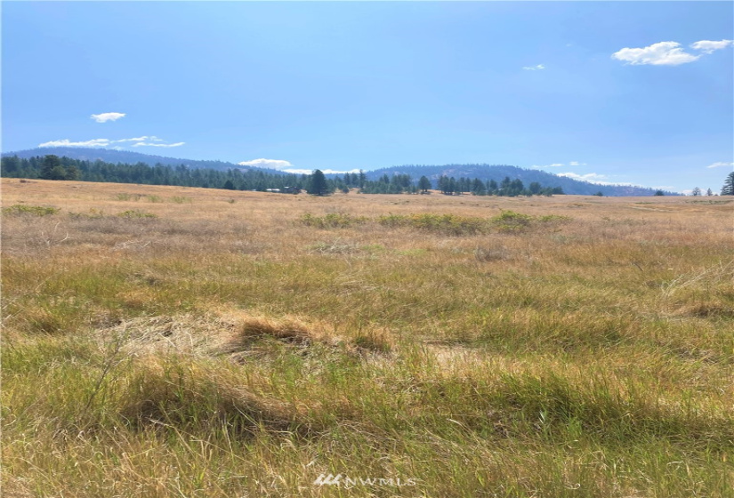 78 Chopaka, Tonasket, Washington 98855, ,Land,For Sale,Chopaka,NWM1822566
