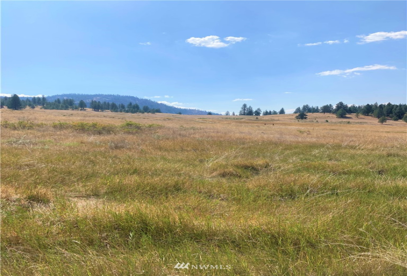78 Chopaka, Tonasket, Washington 98855, ,Land,For Sale,Chopaka,NWM1822566