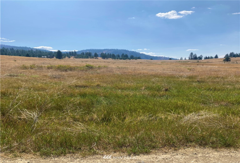 78 Chopaka, Tonasket, Washington 98855, ,Land,For Sale,Chopaka,NWM1822566