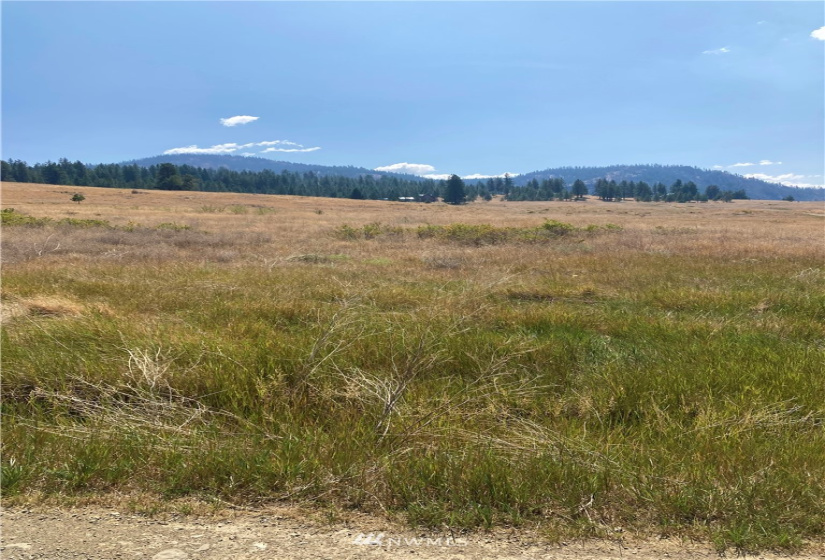 78 Chopaka, Tonasket, Washington 98855, ,Land,For Sale,Chopaka,NWM1822566