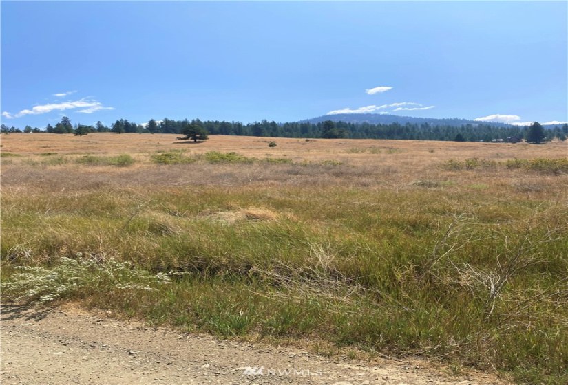 78 Chopaka, Tonasket, Washington 98855, ,Land,For Sale,Chopaka,NWM1822566