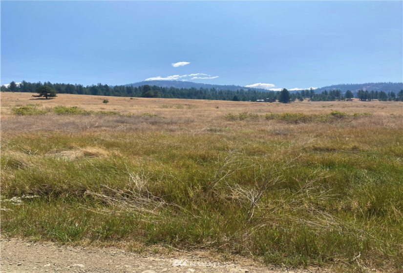 78 Chopaka, Tonasket, Washington 98855, ,Land,For Sale,Chopaka,NWM1822566