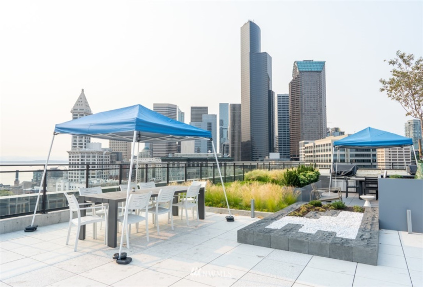 450 Main, Seattle, Washington 98104, 1 Bedroom Bedrooms, ,1 BathroomBathrooms,Residential Lease,For Rent,Main,NWM1827625