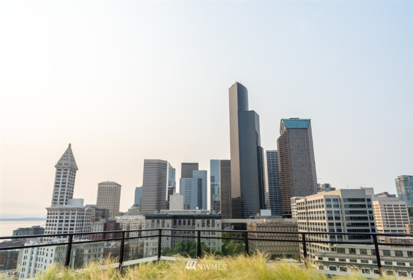 450 Main, Seattle, Washington 98104, 1 Bedroom Bedrooms, ,1 BathroomBathrooms,Residential Lease,For Rent,Main,NWM1827625