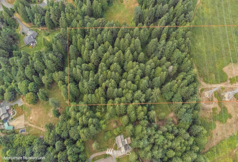 192 XX Badke, Snohomish, Washington 98290, ,Land,For Sale,Badke,NWM1826610