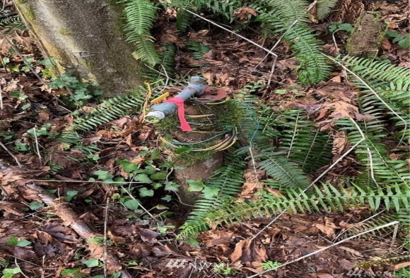 0 Goat Trail, Port Orchard, Washington 98366, ,Land,For Sale,Goat Trail,NWM1826473