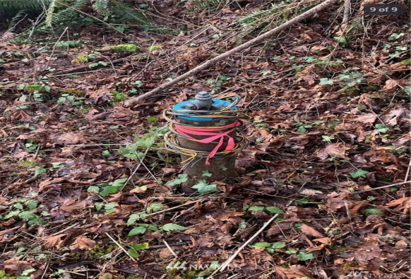 0 Goat Trail, Port Orchard, Washington 98366, ,Land,For Sale,Goat Trail,NWM1826438