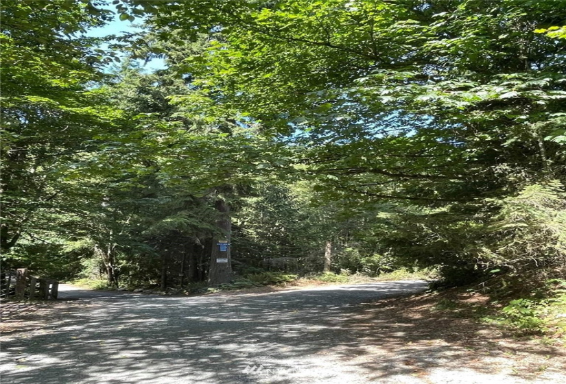 0 13xxx Hall, Arlington, Washington 98241, ,Land,For Sale,Hall,NWM1820418